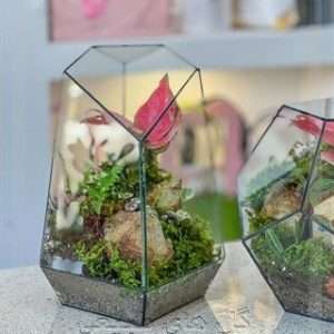 ارسال گل طبیعی برای کافه فلامینگو تهران