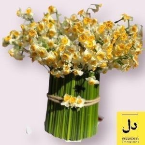 سفارش گل برای تحویل در شرکت اکتوور کرج